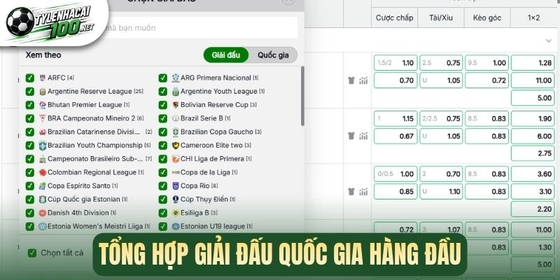 Tỷ Lệ Kèo Nhà Cái - Cập Nhật Kèo Bóng Đá Chuẩn Xác Hàng Ngày 342 Tổng hợp giải đấu quốc gia hàng đầu