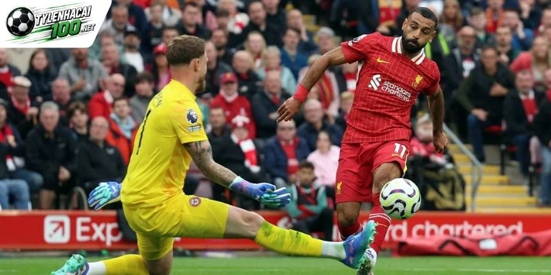 Soi Kèo Nhà Cái Brentford Vs Liverpool - NHA, 17/10/2026 6 Chuyên gia nhận định odds Brentford vs Liverpool